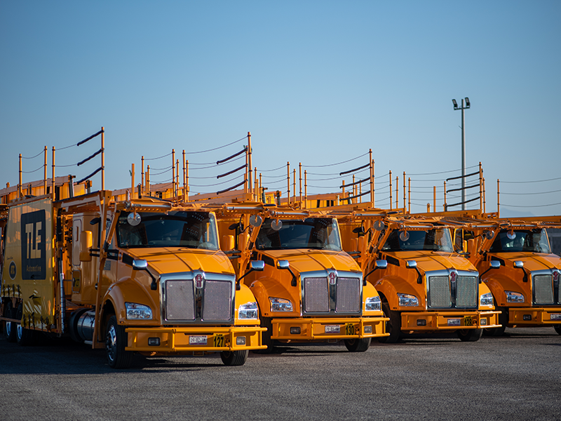 TLE car-carrier fleet for vehicle transport